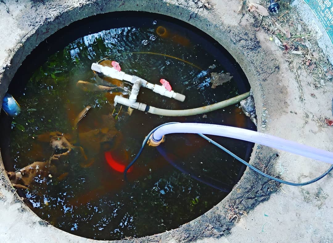 Are Garbage Disposals Bad For Septic Systems? Here's What You Need To