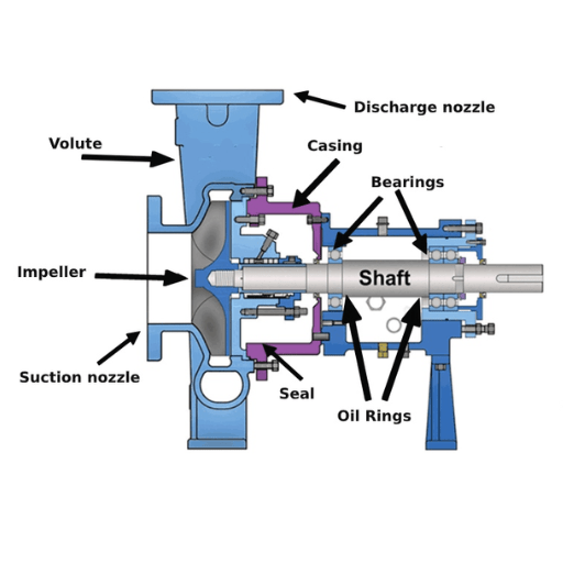 Pump Bearing Guide: Understanding Inboard vs Outboard Bearings in