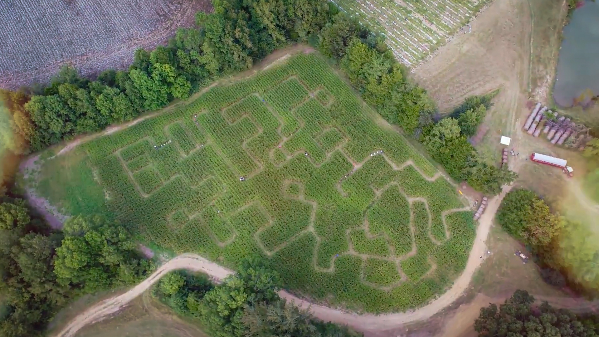 Buhler Corn Maze at Lashonda Johnson blog