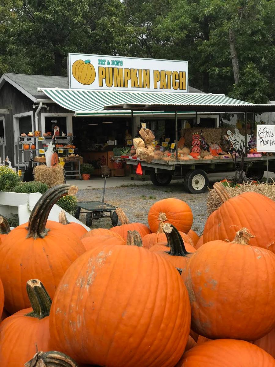 Pumpkin Patch Farmstand