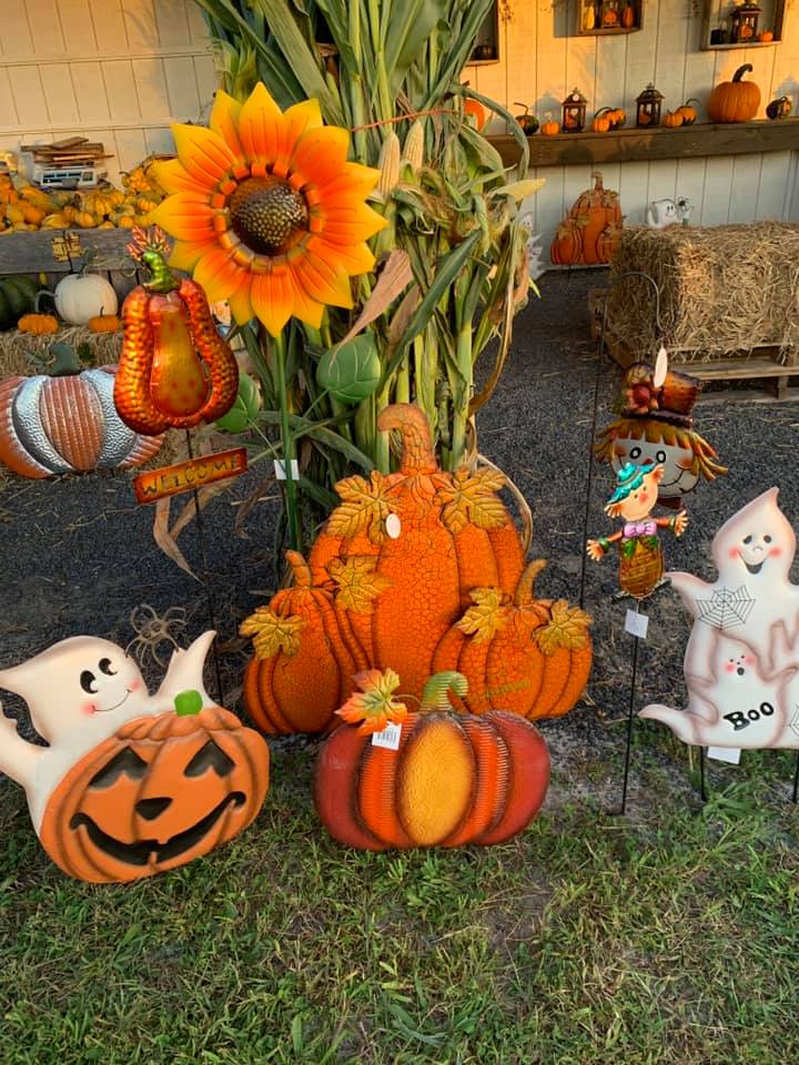 R and J Farm Cornmaze and Hayride Pumpkin Patch Near Me