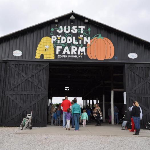 Just Piddlin Farm Pumpkin Patch Near Me
