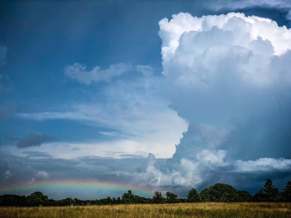 Roca Berry Farm Pumpkin Patch Near Me