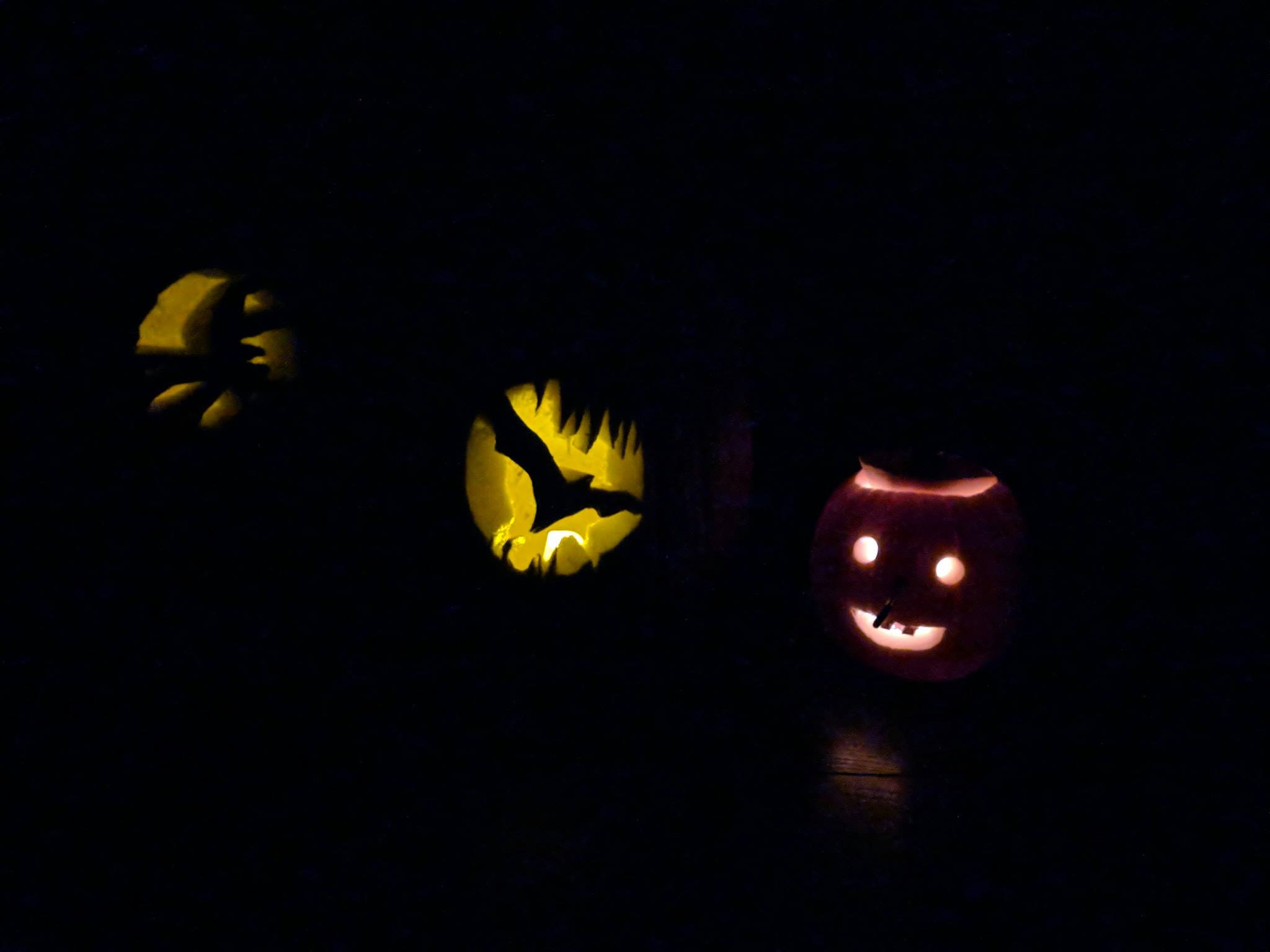 Big Stone Pumpkin Patch Pumpkin Patch Near Me