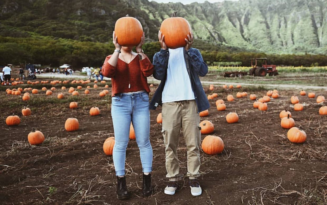 Waimanalo Country Farms Pumpkin Patch Near Me