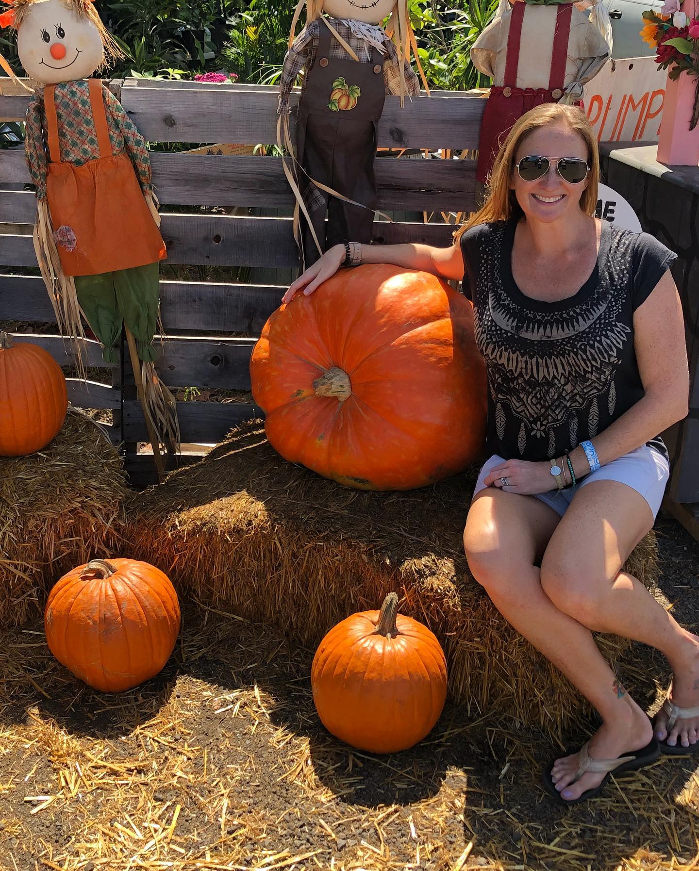 Waimanalo Country Farms Pumpkin Patch Near Me