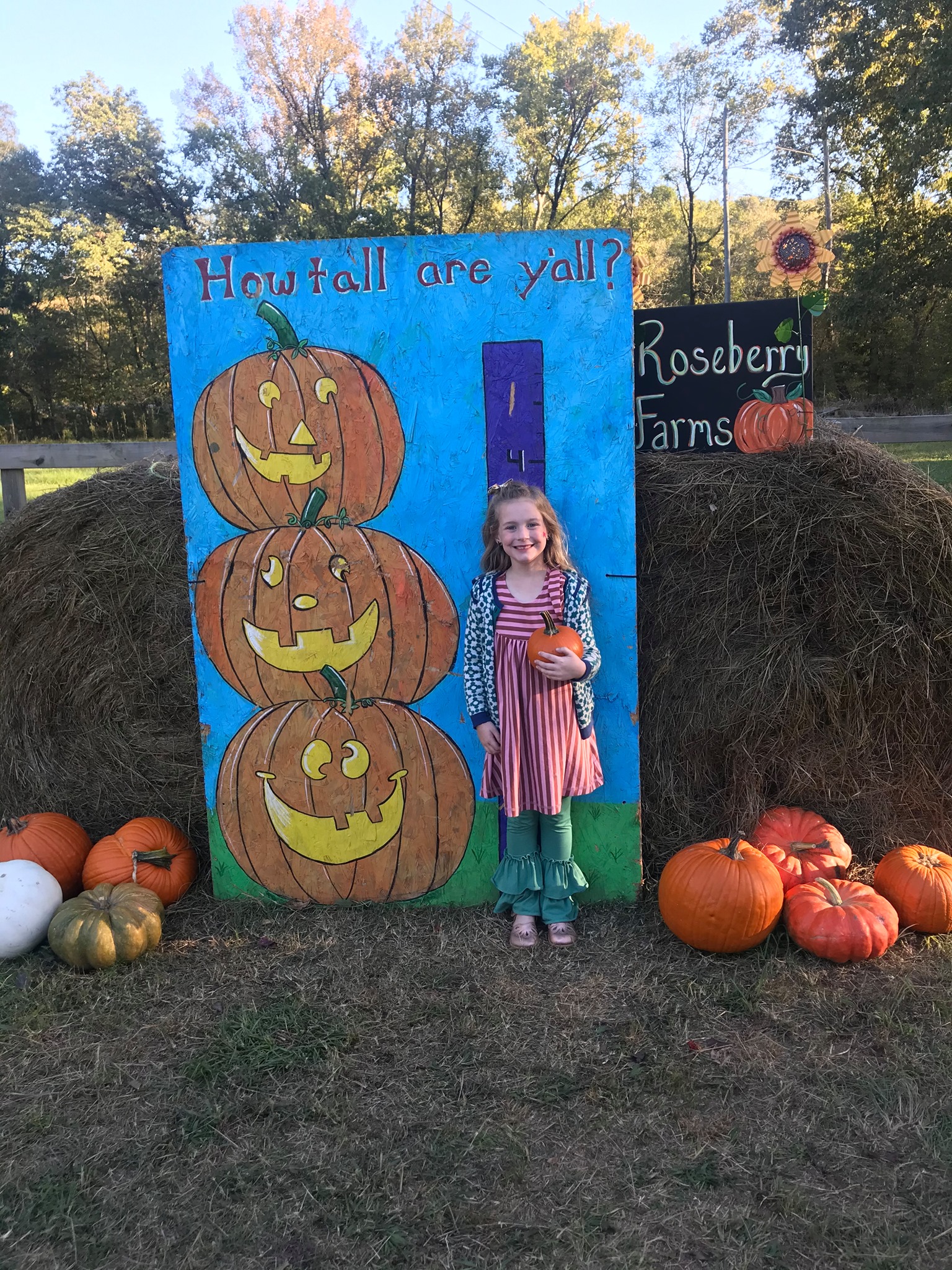 Roseberry Farms pumpkin patch Pumpkin Patch Near Me