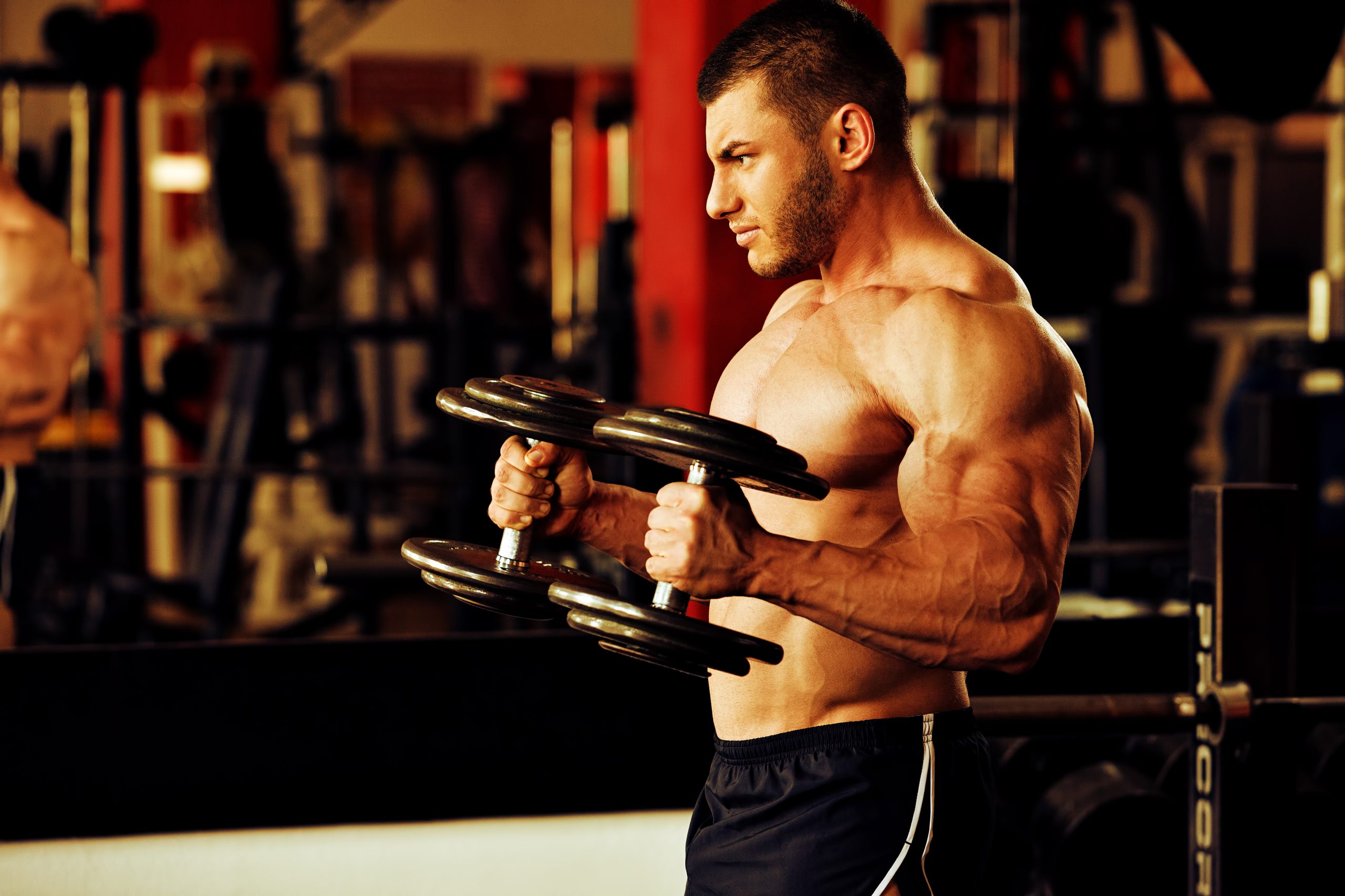 The Ultimate Guide To Hammer Curls Benefits, Form, Tips & Tricks & More