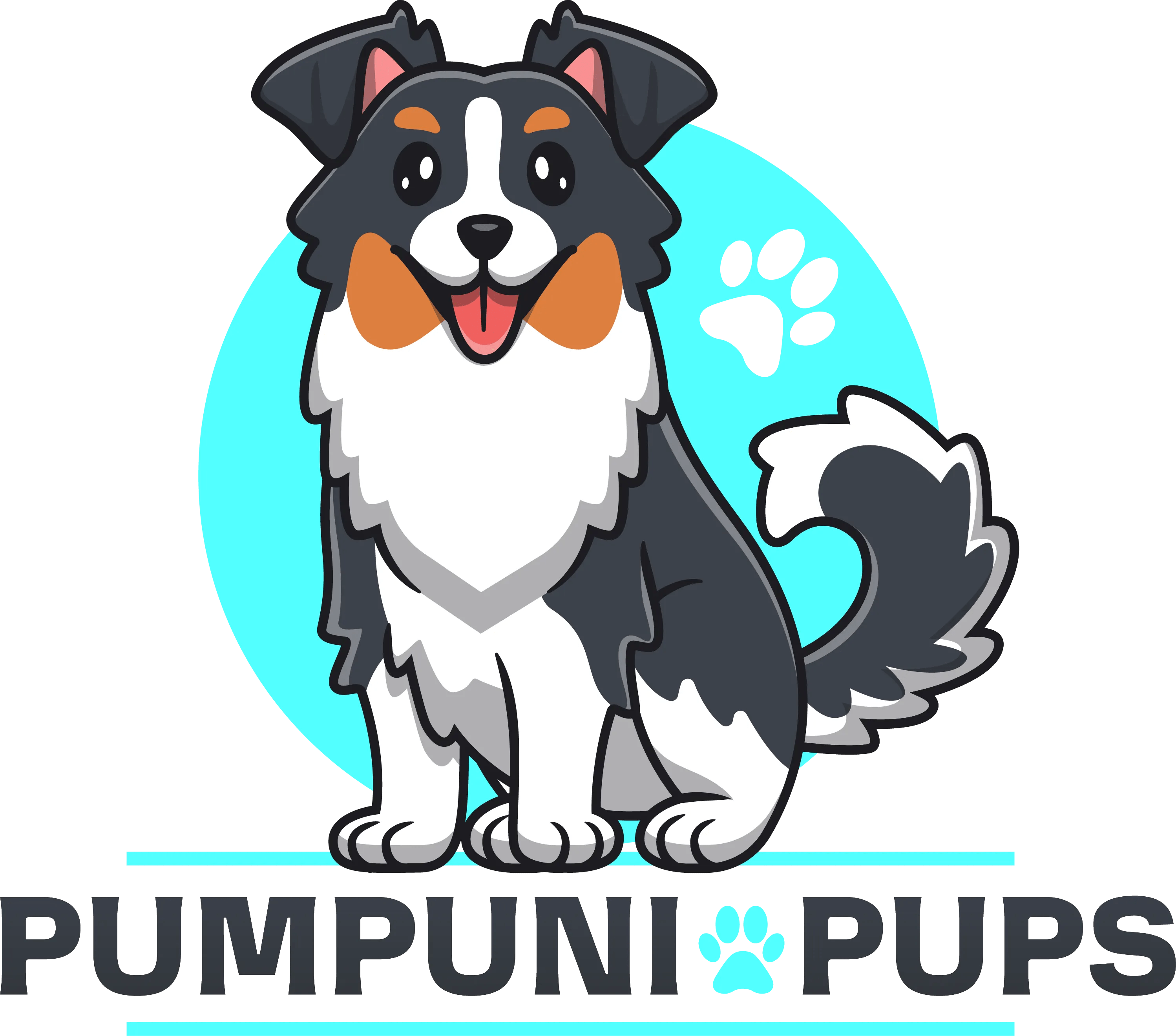 PUMPUNI PUPS Pet Care