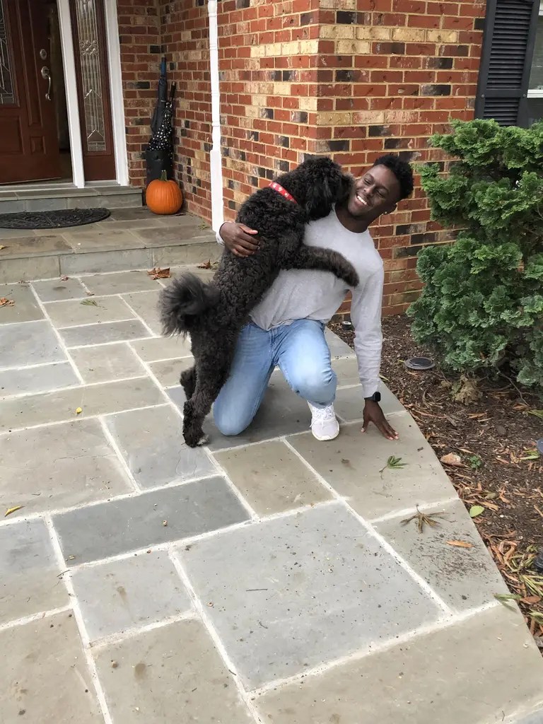 PUMPUNI PUPS Pet Care