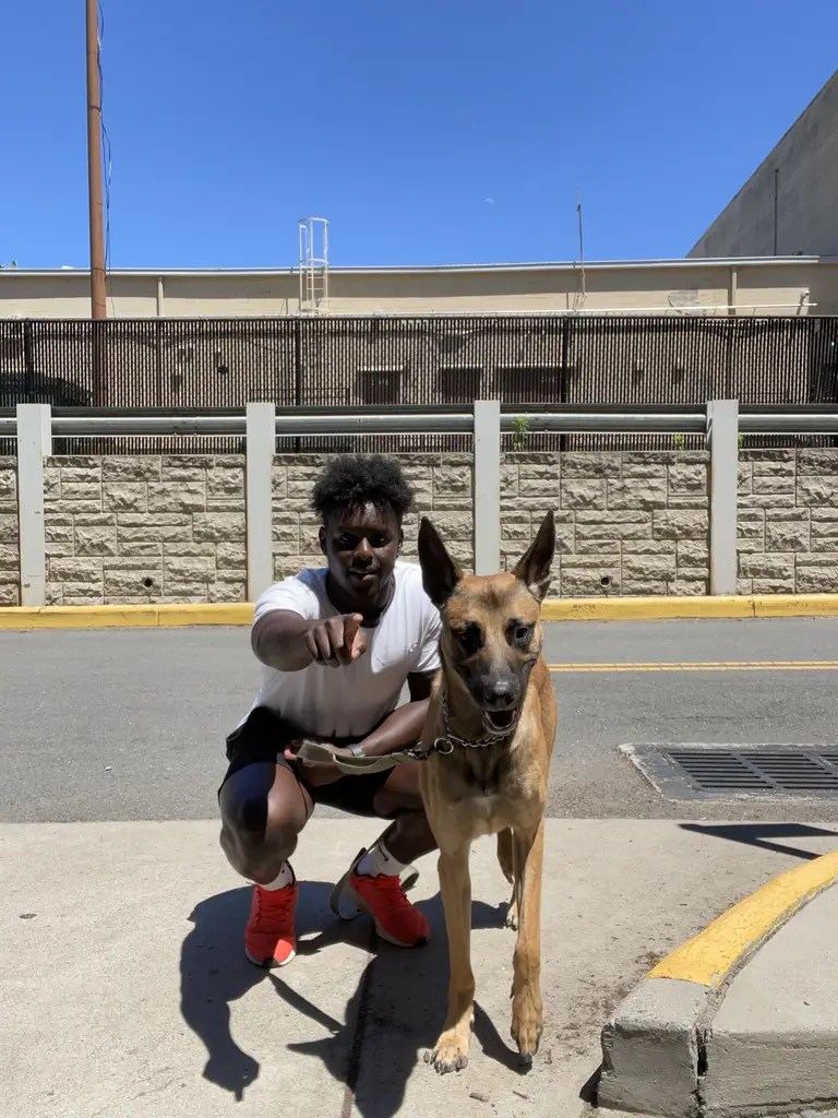 PUMPUNI PUPS Pet Care