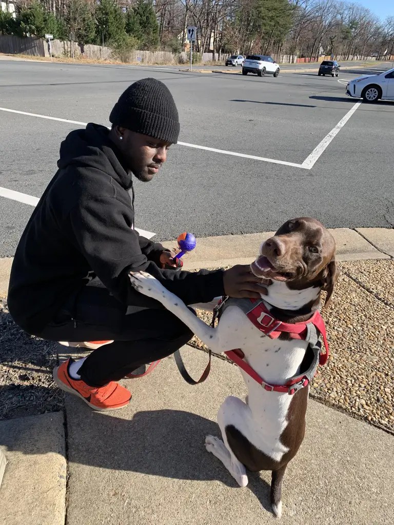 PUMPUNI PUPS Pet Care