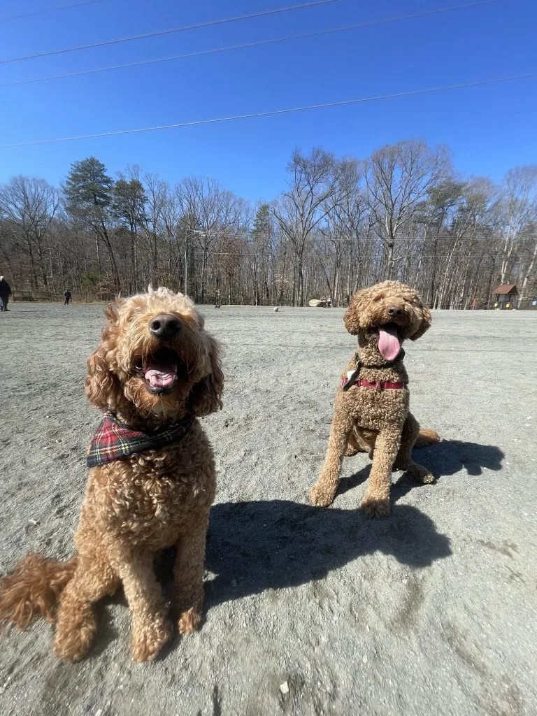 PUMPUNI PUPS Pet Care