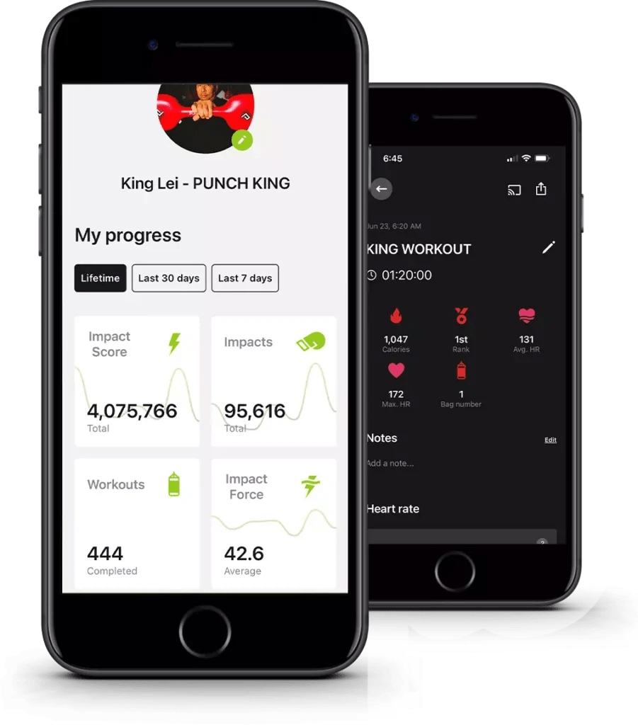 Punch King Fitness Punch King Fitness