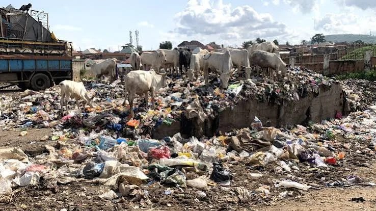 NANS urges probe of Lagos building collapse