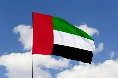 UAE bans social media for under-15s
