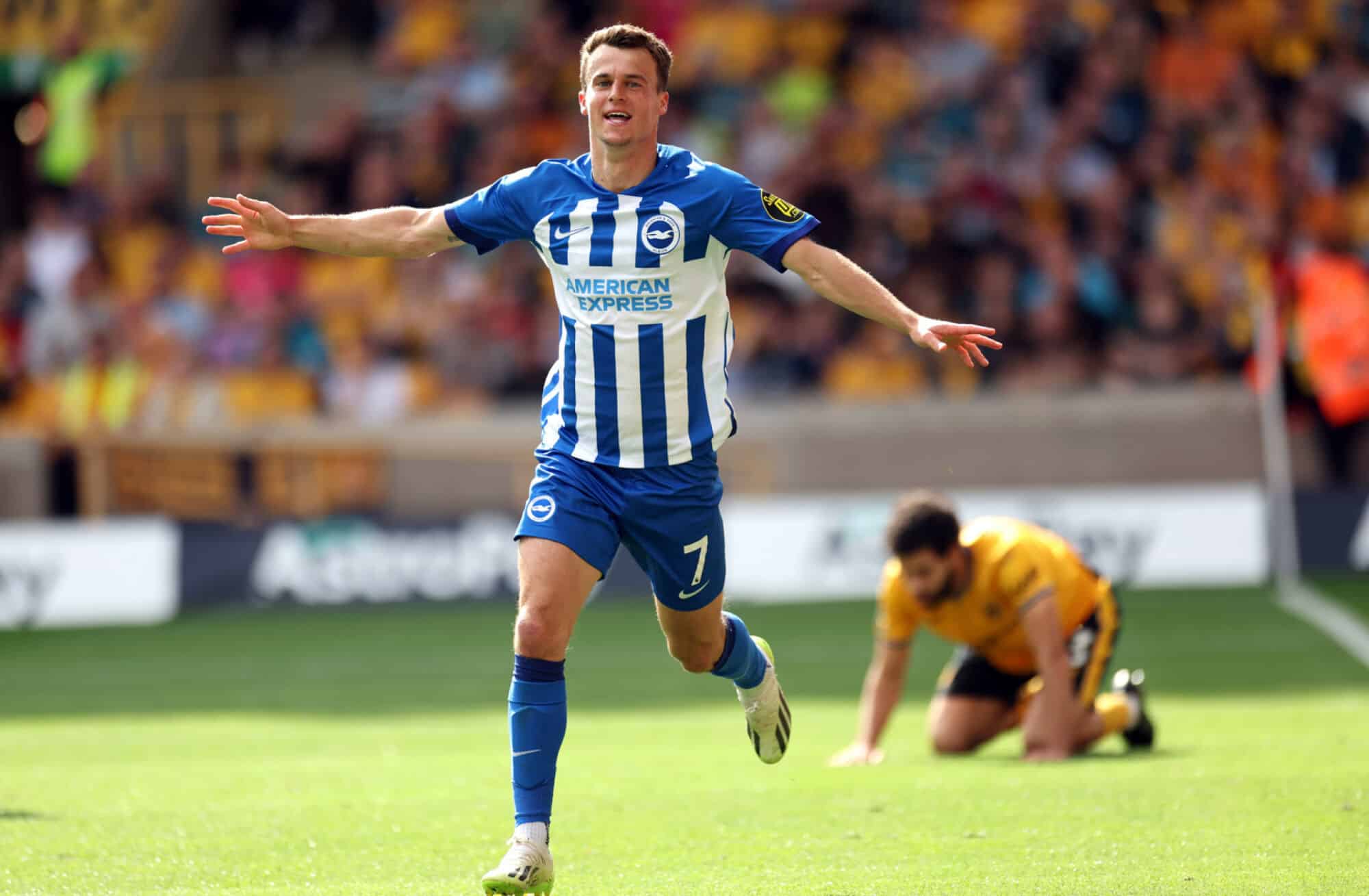 Wolves vs Brighton Player Ratings Brighton Secure Another Impressive