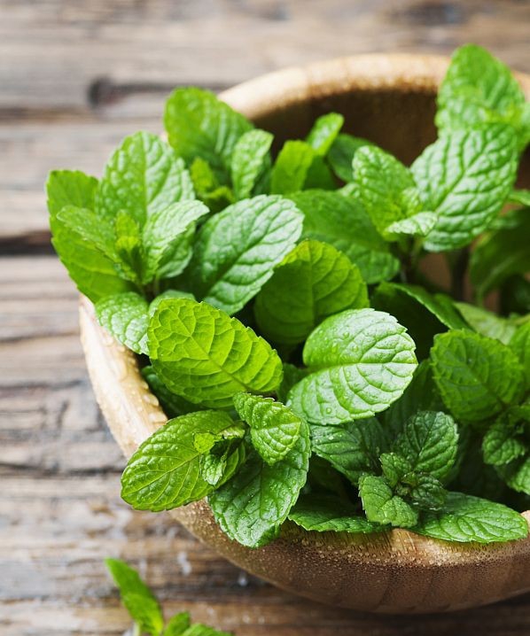 punelin Ten amazing properties of mint