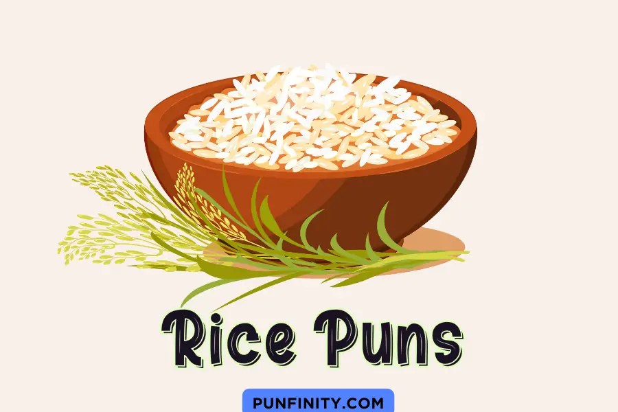 107 Hilarious Rice Puns That Will Make Your Day Graintastic