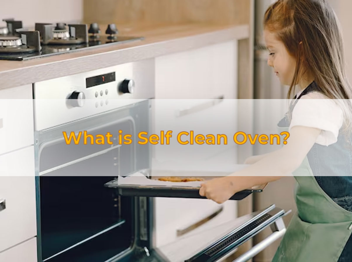 Steam Clean vs Self Clean Oven (Choosing Tips) - PuNk PrOjEcT