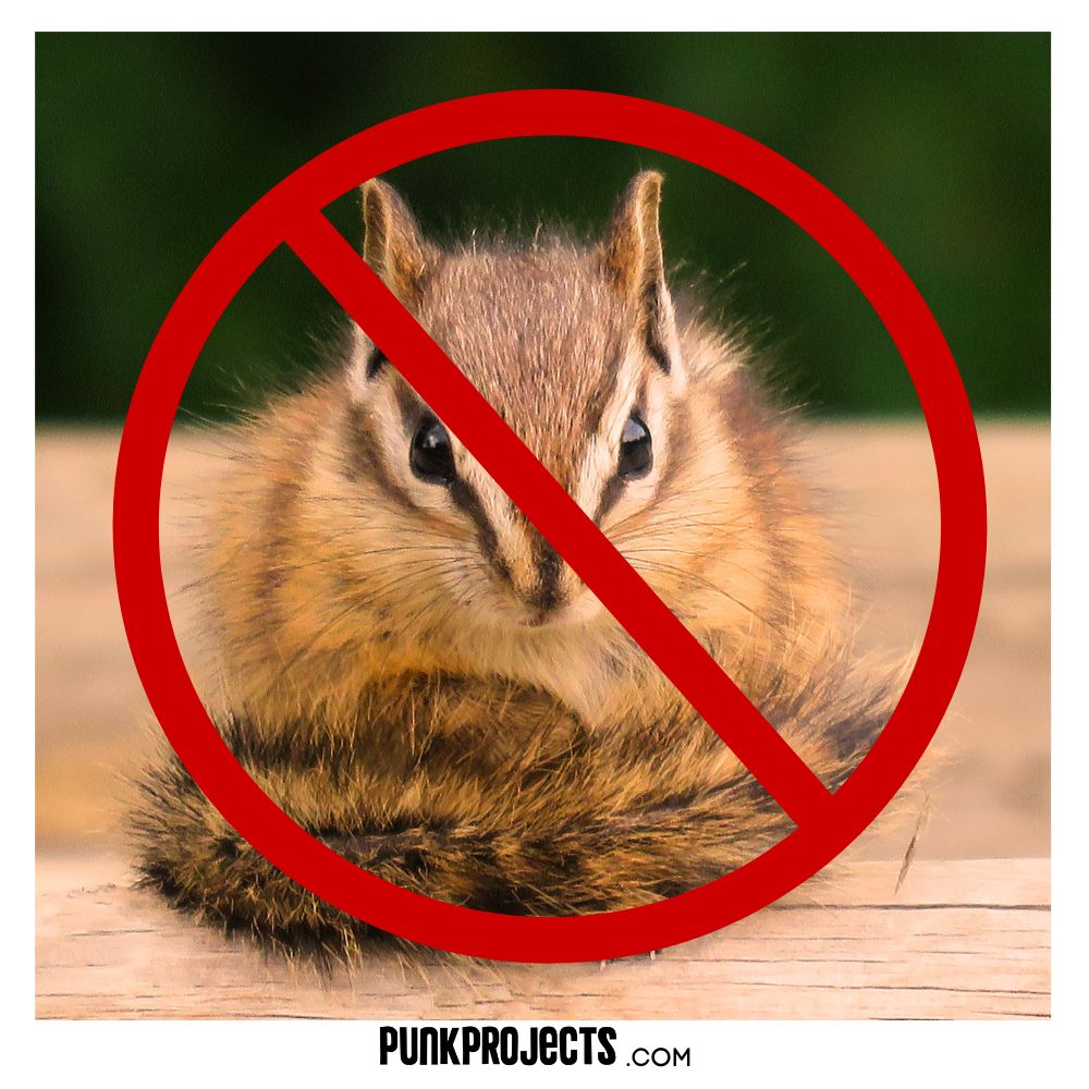 Best Chipmunk Repellent Safe for Pets (Natural) - PuNk PrOjEcT
