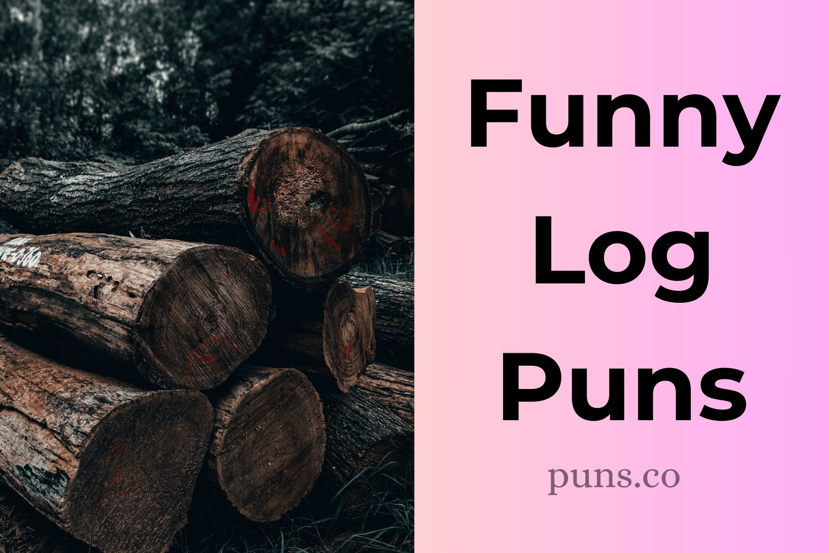 130 Log Puns to Spark Timbertickling Laughter!