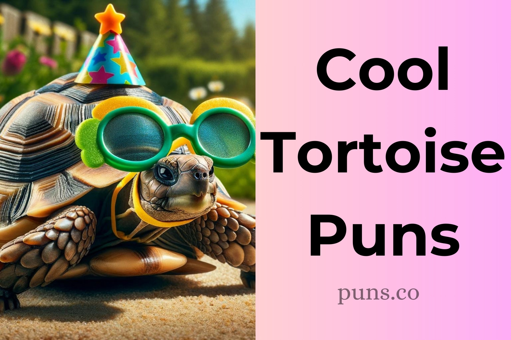 134 Tortoise Puns For a Hearty Shellabration of Wordplay!