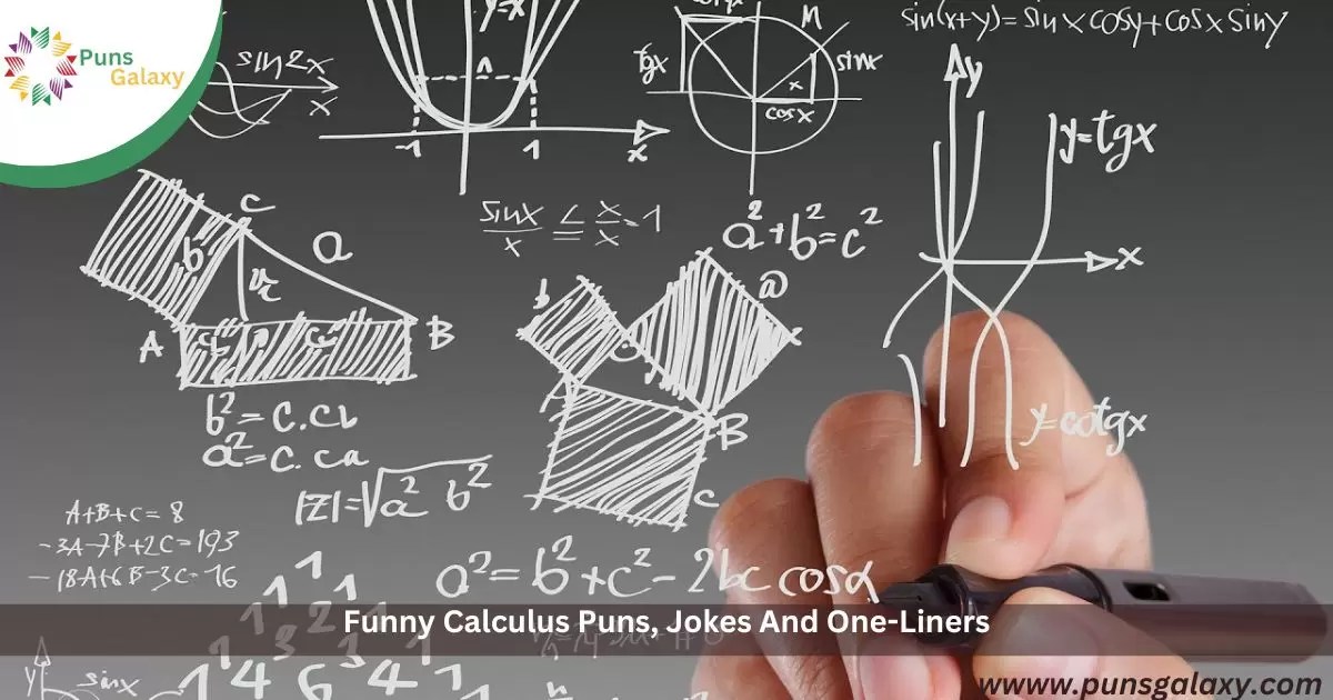 298+ Funny Calculus Puns, Jokes And OneLiners