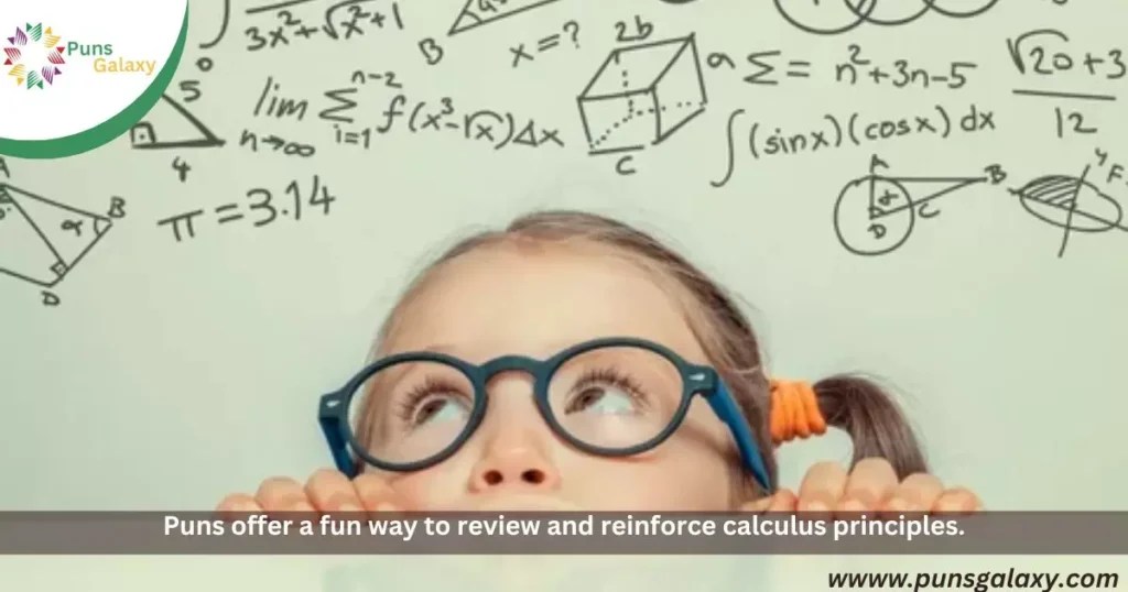 298+ Funny Calculus Puns, Jokes And OneLiners