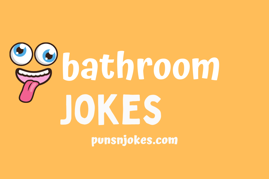 Bathroom Jokes Funny and Hilarious Toilet Humor for Everyone Puns N