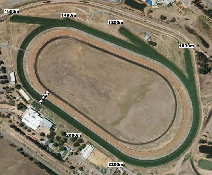 Canberra R1 1000m Affinity Electrical Technologies Mdn Plate Form Guide