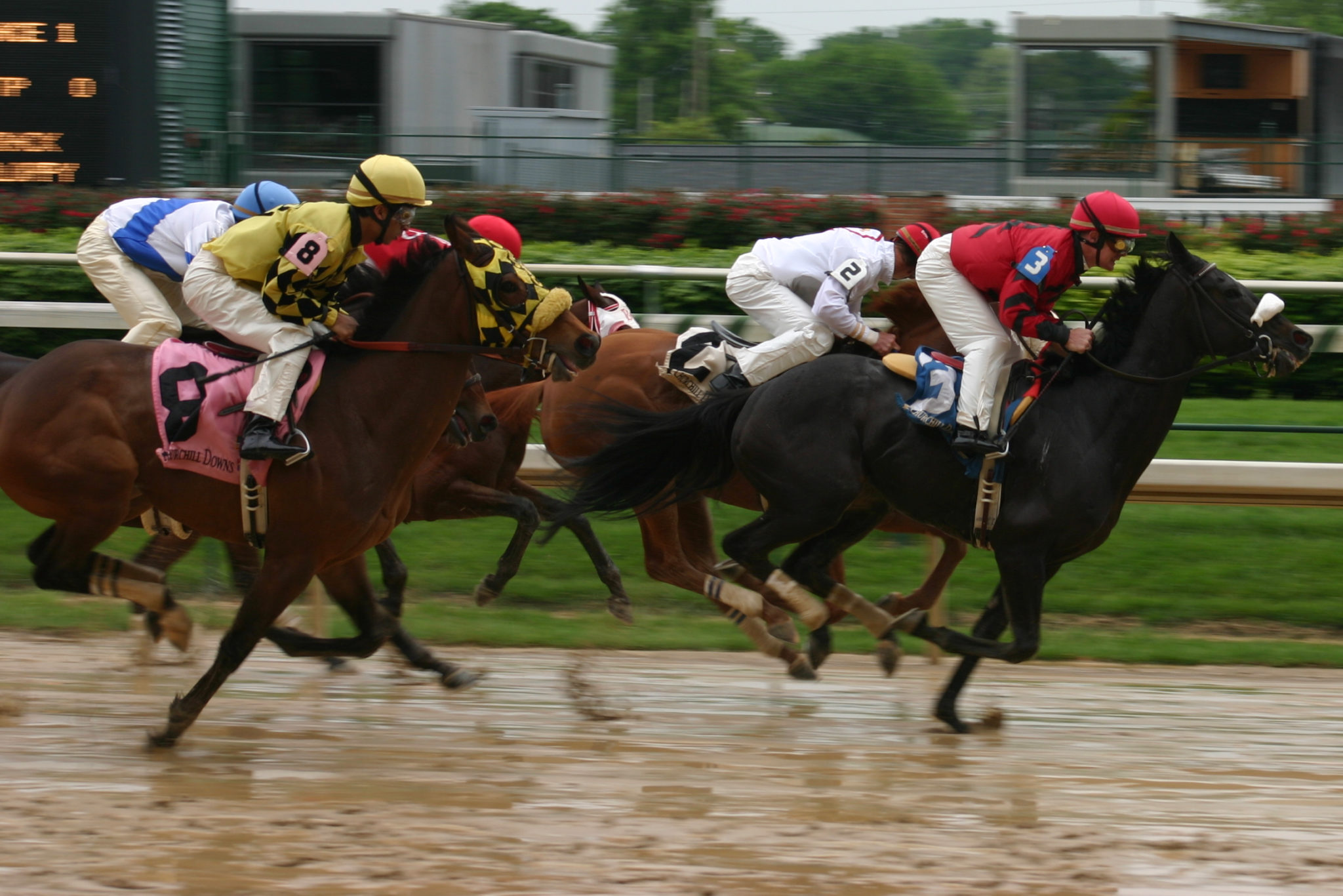 The Impact of Weather On Horse Racing (The "Going") — Punter2Pro