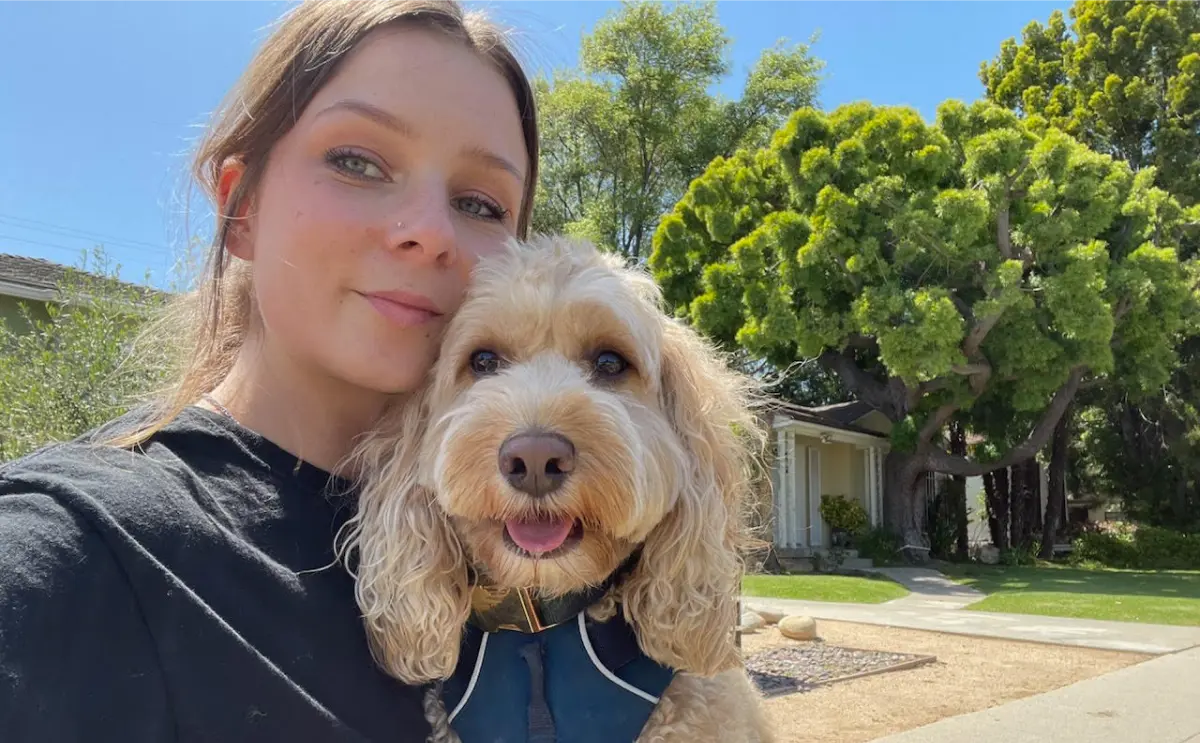 Top Dog Grooming Services in Los Angeles, CA