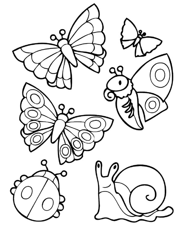 🖍️ Different Spring Animals Printable Coloring Page for Free