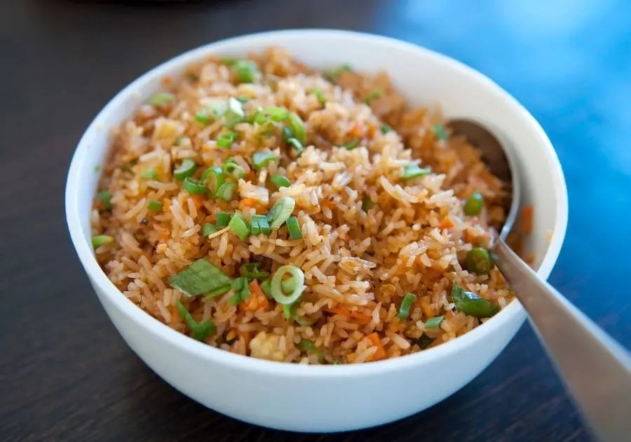 Can Dogs Eat Fried Rice? Read This First Puplore
