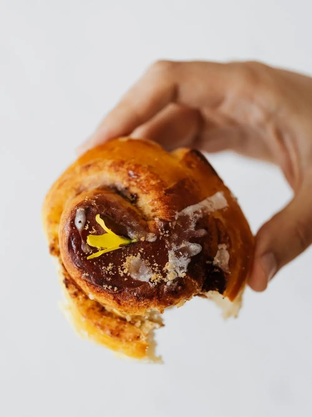 Can Dogs Eat Cinnamon Rolls? The Good & The Bad Puplore