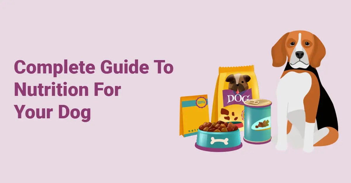 Complete Guide To Nutrition For Your Dog Puplore