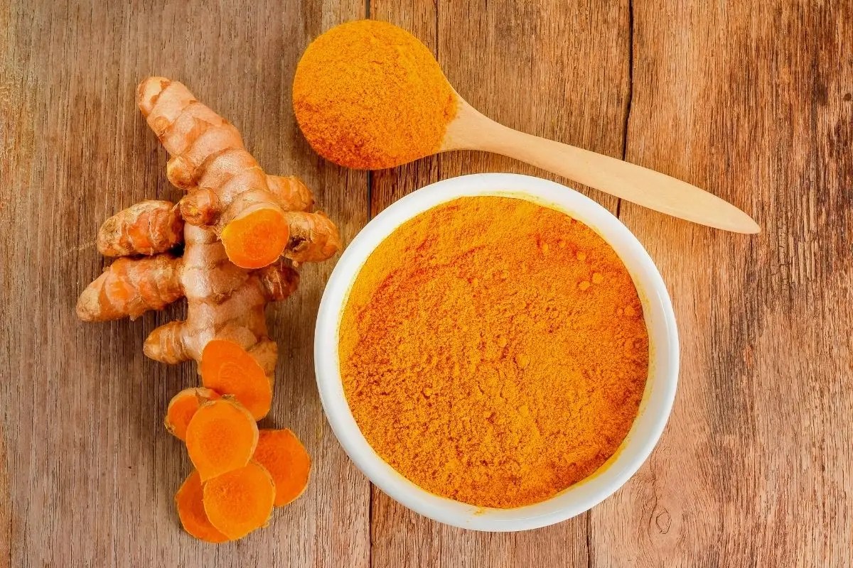 Is Turmeric Good For Dogs? Benefits & Uses Puplore
