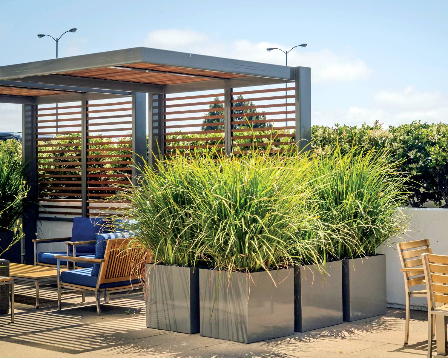 Including Greenery in Indoor and Outdoor Spaces PUPN