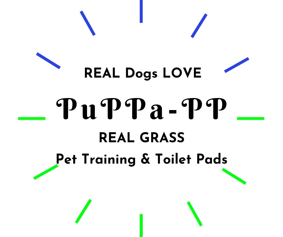 Real Grass Pet Potty for Dogs PuPPaPP