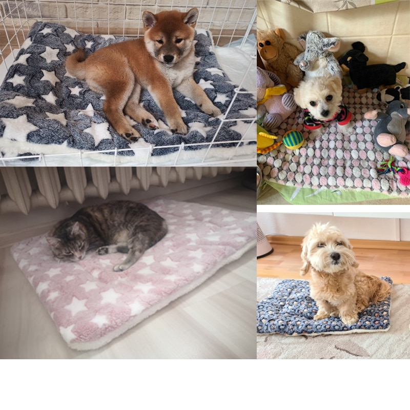Soft Flannel Dog Bed Dog Bed Puppies Gear