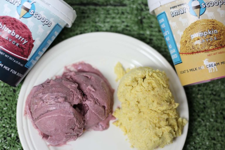 Introducing SMART SCOOPS Goat’s Milk Ice Cream Mix