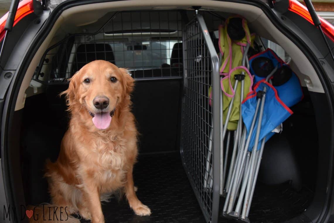 SUV Cargo Divider For Canine Travall Overview