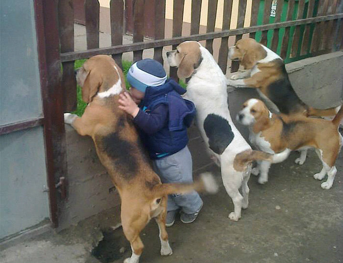 20 Photos Showing Kids and Pets Belong Together Puppy Lover Hub