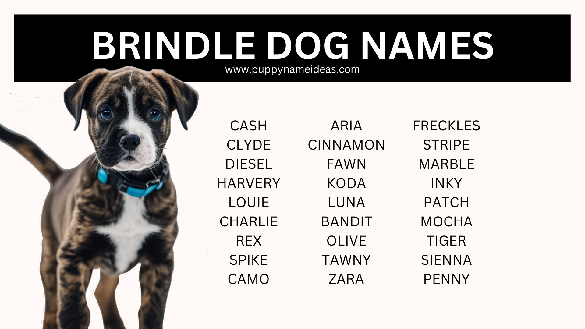 180+ Brindle Dog Names Puppy Name Ideas