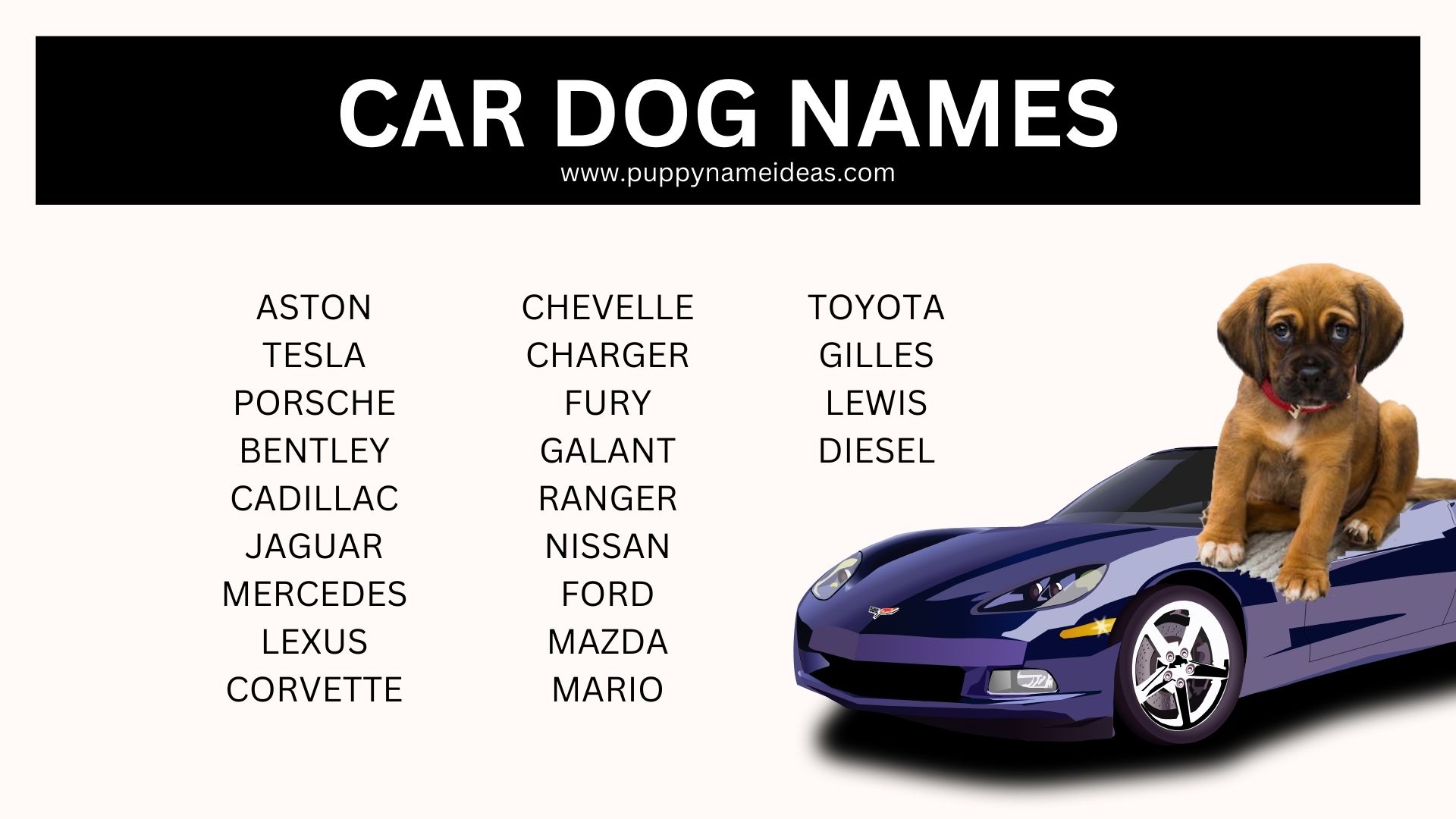 115+ Car Dog Names - Puppy Name Ideas