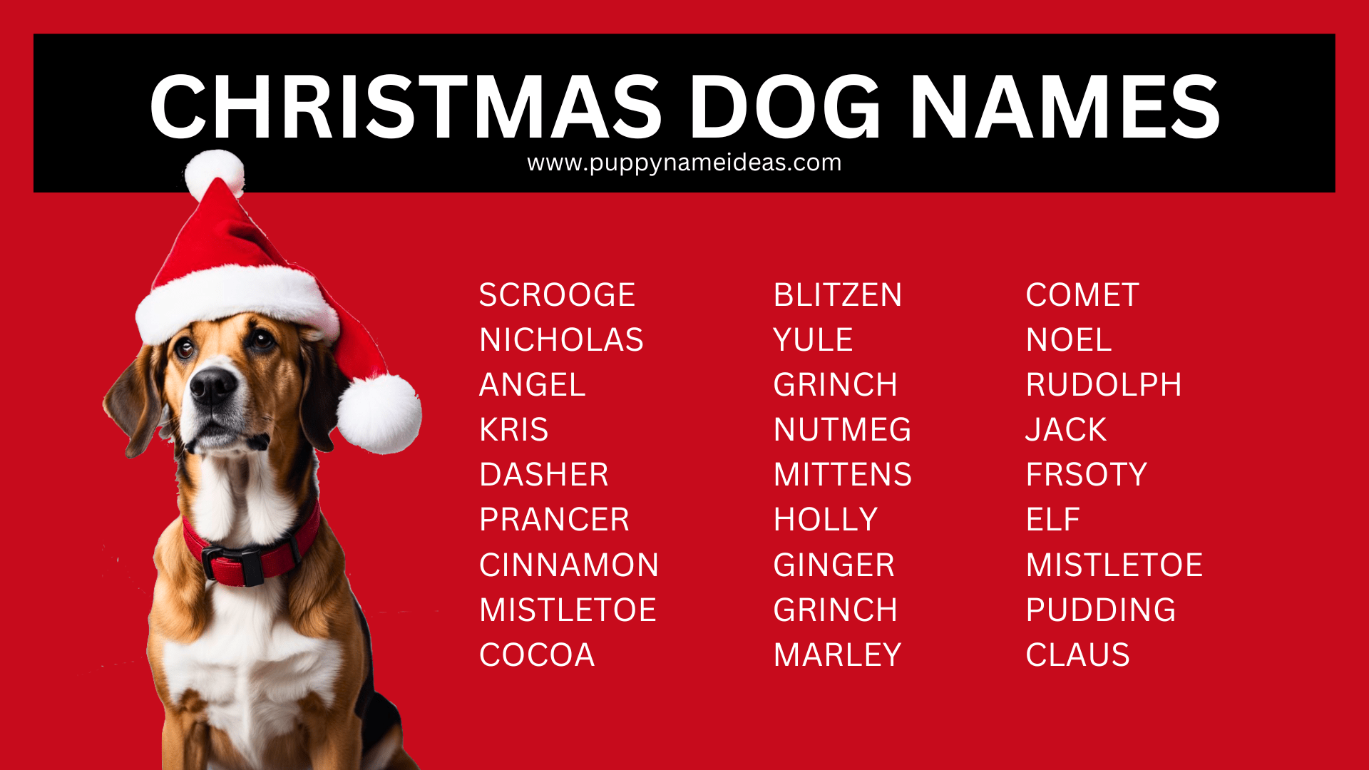 200+ Christmas Dog Names Puppy Name Ideas
