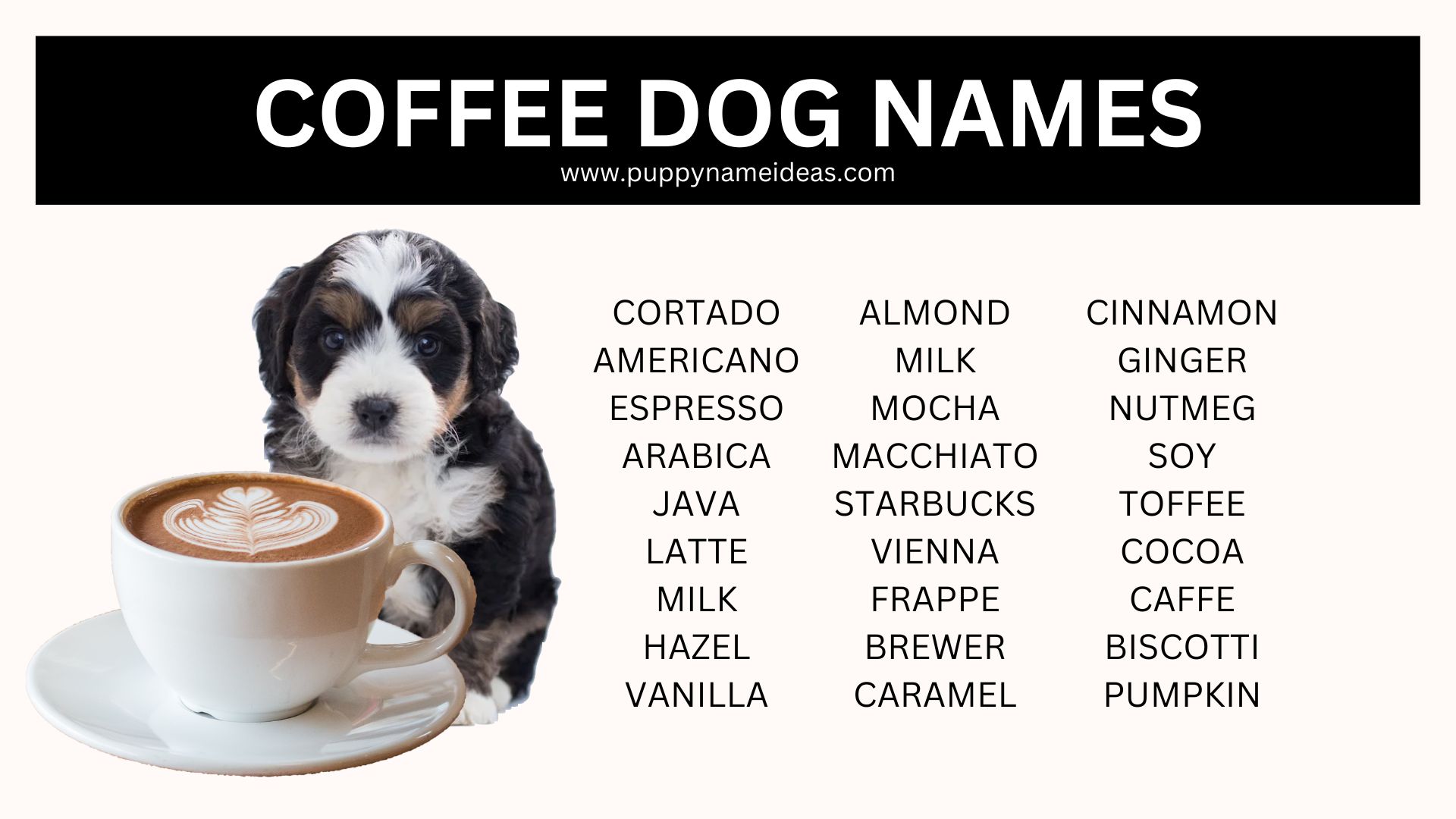 95+ Coffee Dog Names Puppy Name Ideas