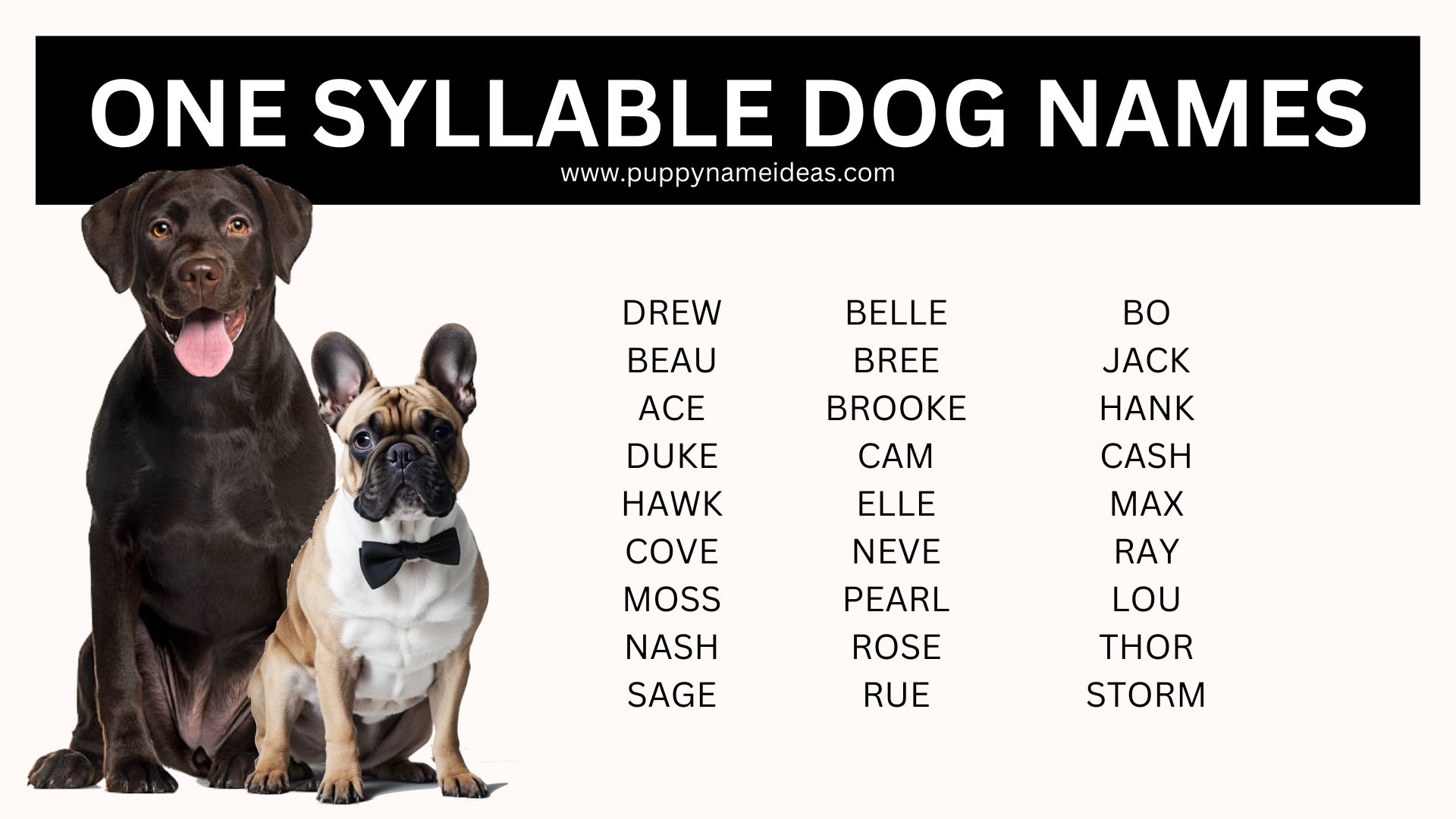 130+ OneSyllable Dog Names Puppy Name Ideas