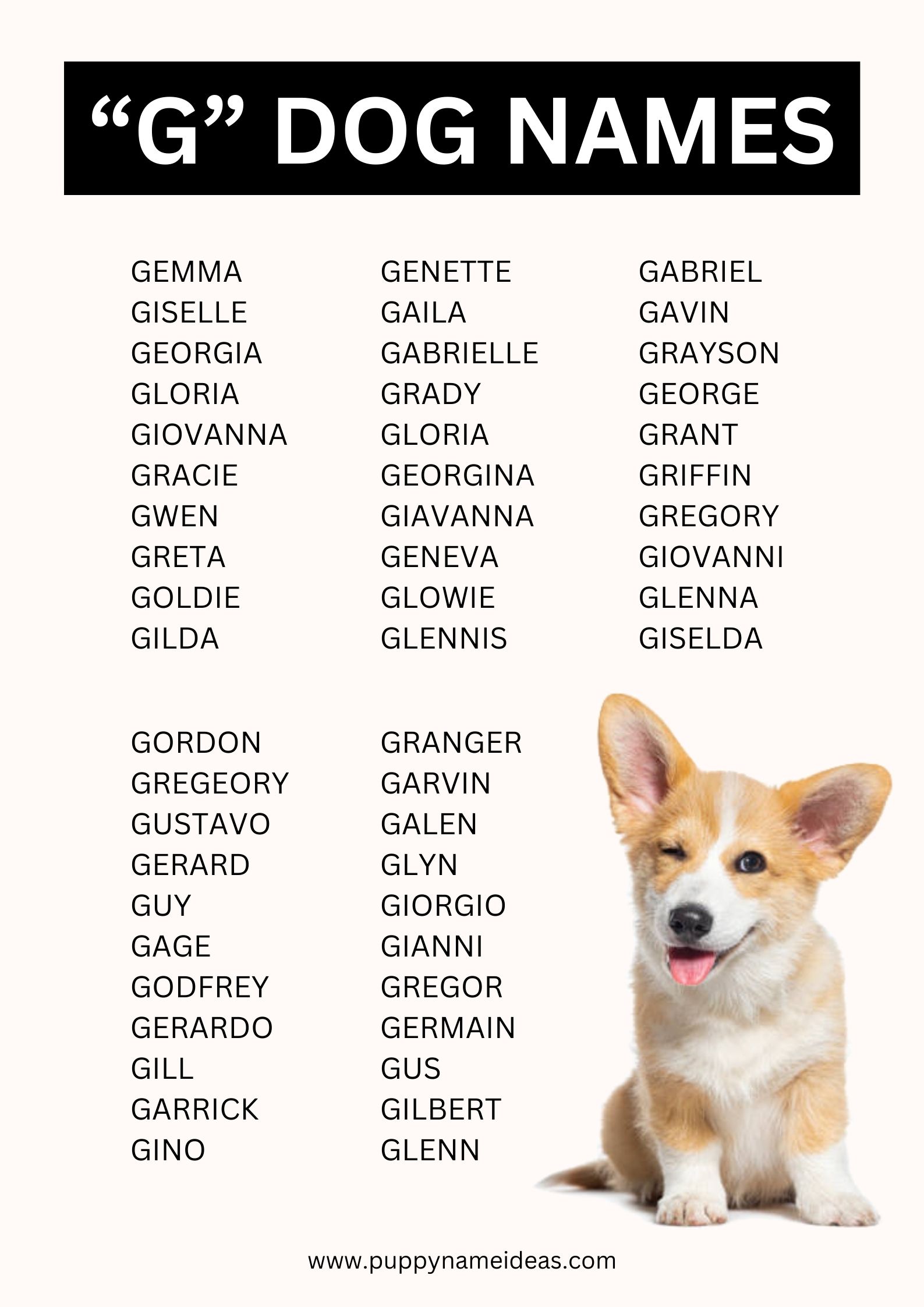 Dog Names That Start With G Puppy Name Ideas